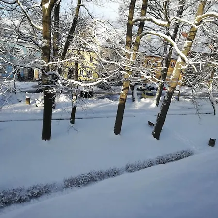 Pensjonat N.10 Frymburk